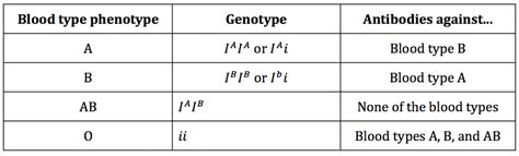 Unlocking the Secrets of Type O Blood Genotype: A Genetic Breakthrough