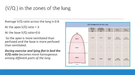 V/Q Ratio Lung