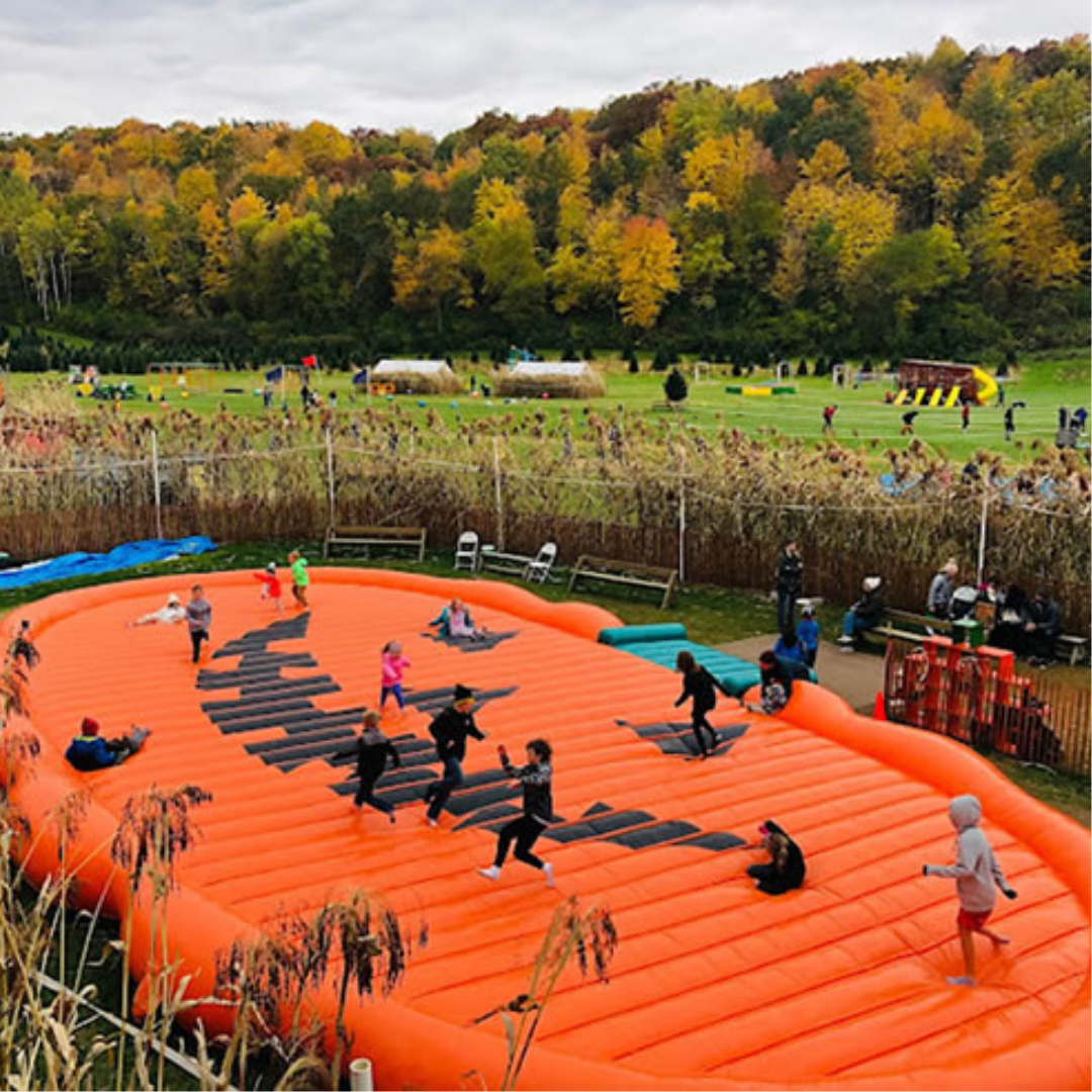 Valley Health Options