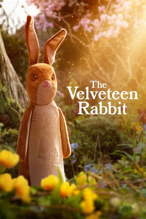 Velveteen Rabbit Transformation Myth Debunked
