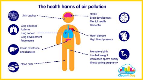 What Affects Air Quality