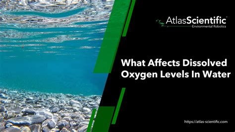 What Affects Dissolved Oxygen Levels