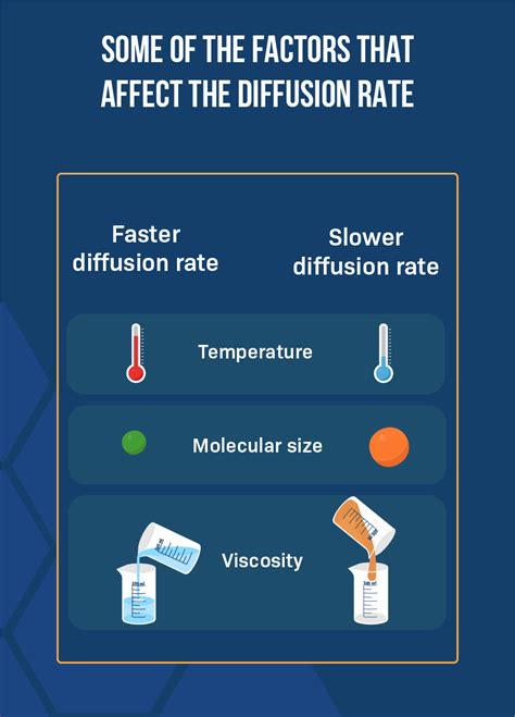 What Affects Rate Of Diffusion
