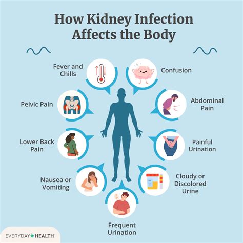 What Affects Your Kidneys