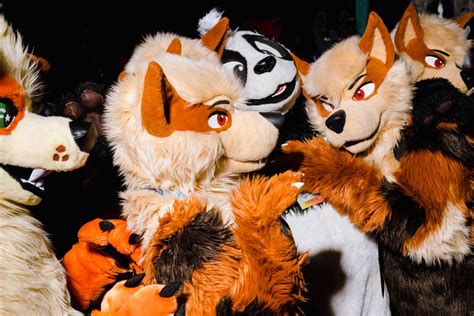 What Are Furries