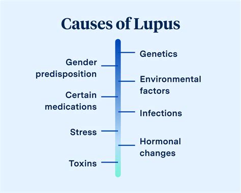 What Causes Lupus
