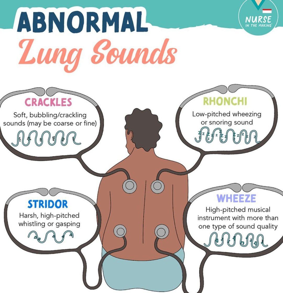 What Do Quiet Lungs Mean Medical Explained