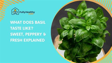 What Does Basil Taste Like