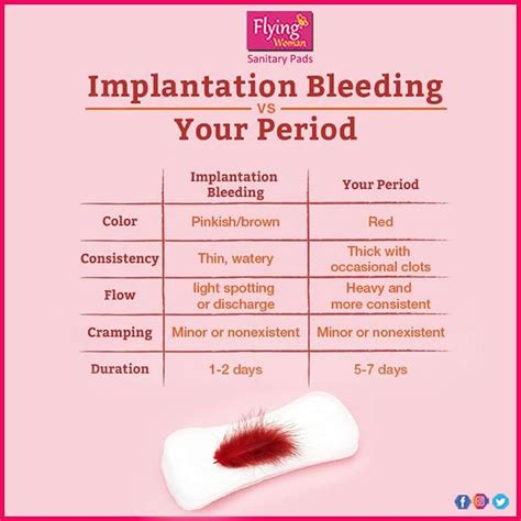 What Does Implantation Bleeding Look Like
