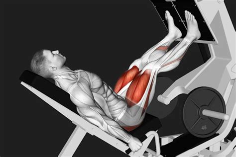 What Does Leg Press Work