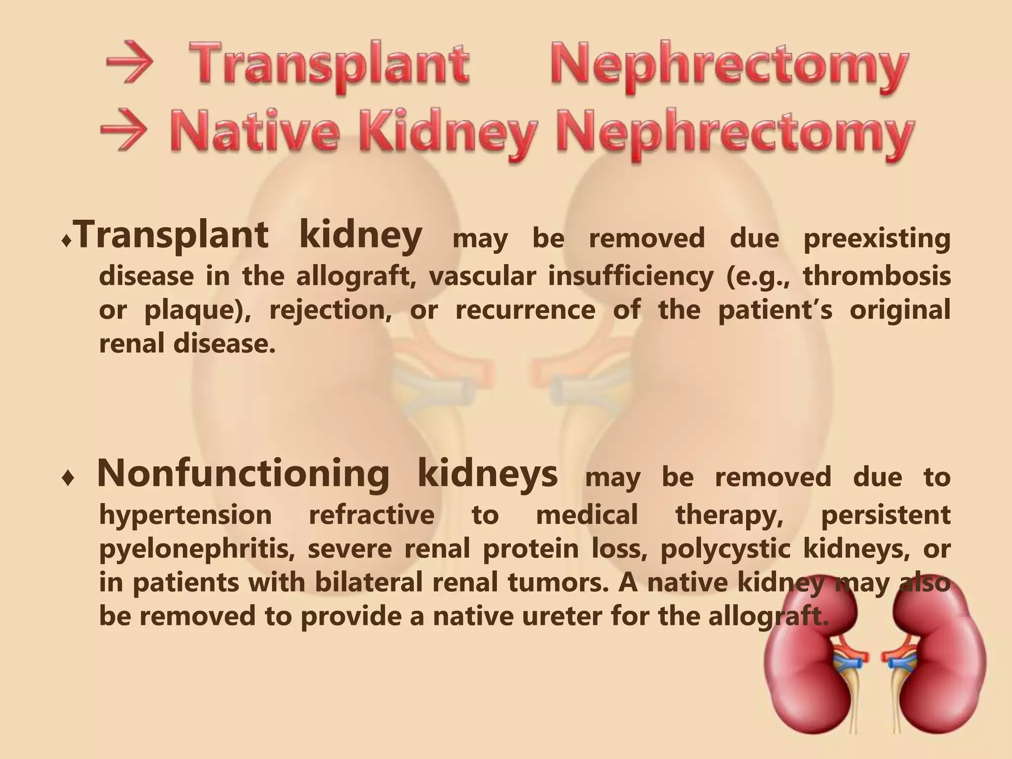 What Does Native Kidney Mean A Simple Medical Definition
