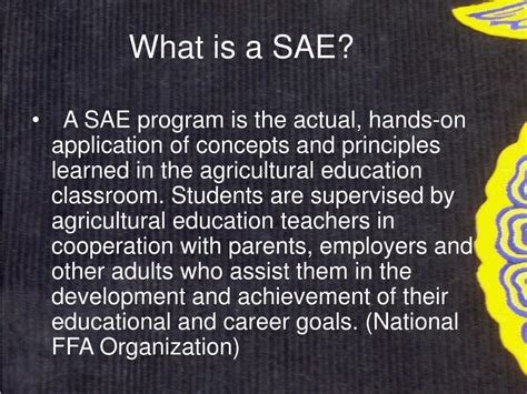 What Does Sae Stand For