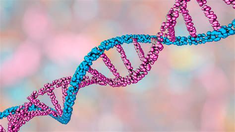 What Does Stand For Dna