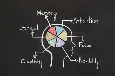 What Improves Memory And Cognitive Function