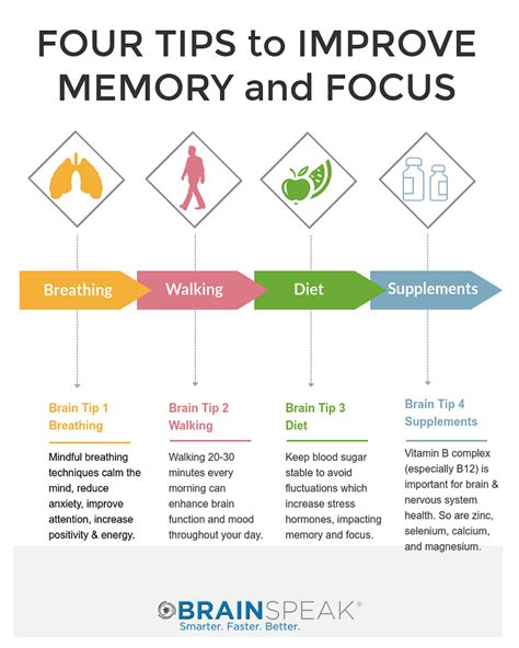 What Improves Memory And Focus