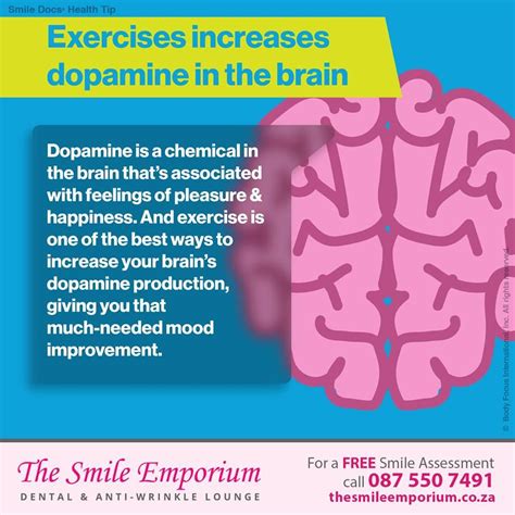 What Increases Dopamine In The Brain