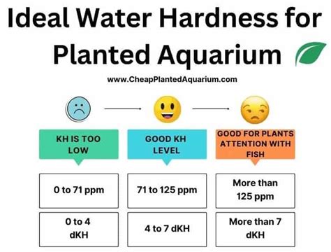 What Increases Kh In Aquarium