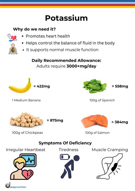 What Increases Potassium Levels