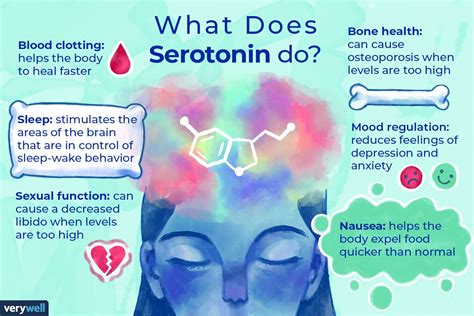 What Increases Serotonin Levels