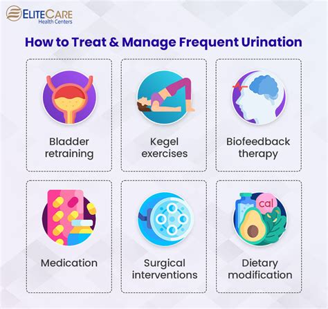 What Increases Urination Frequency