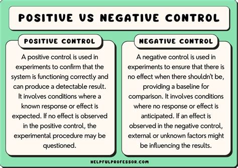 Uncover the Mystery: What Is a Negative Control?