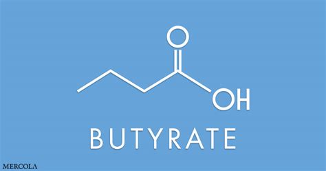 What Is Butyrate
