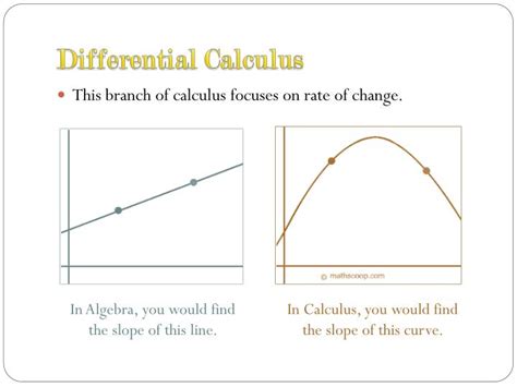 What Is Calculus: Unveiled!