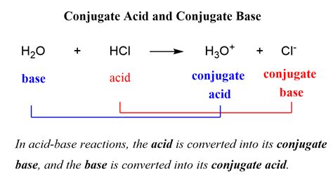 Unveiling What is Conjugate Base: Your Essential Chemistry Guide
