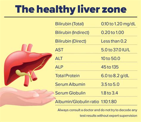 What Is Hepatic Function Panel
