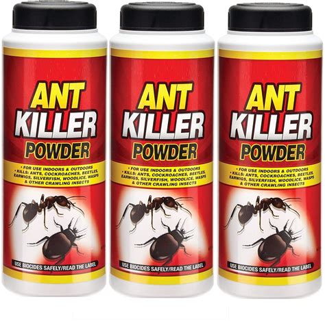 What Kills Ants Instantly
