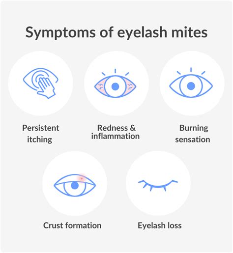 What Kills Eye Mites
