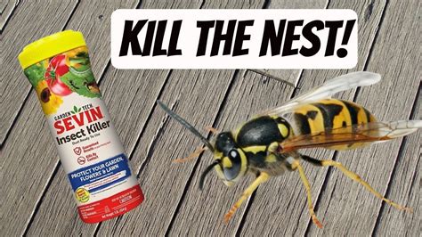 What Kills Hornets