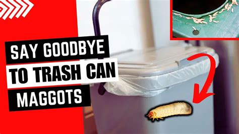 What Kills Maggots In Garbage Cans