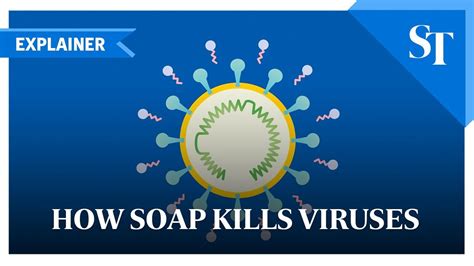 What Kills Viruses