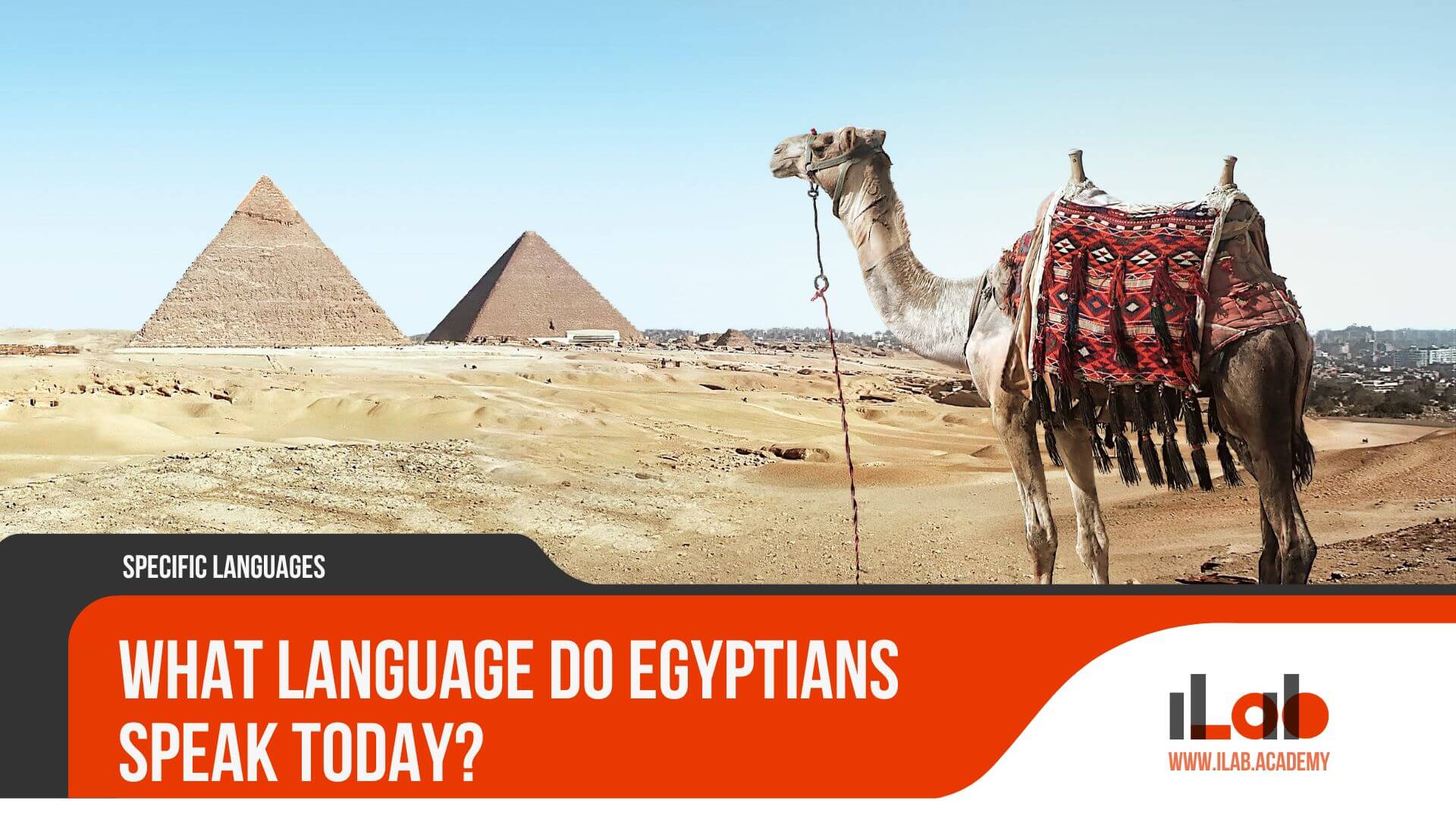 What Languages Do Egyptians Speak And How It Affects Travel