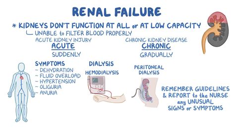 What Prevents Kidney Failure