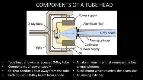 What Prevents X Ray