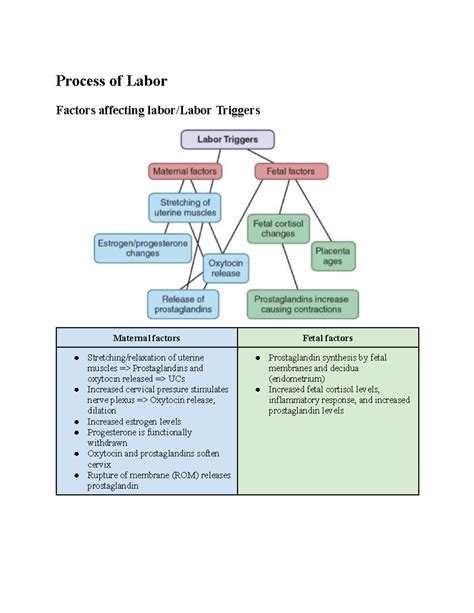 What Triggers Labor