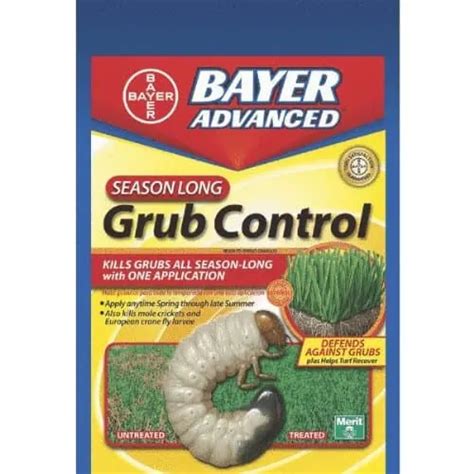 When To Use Grub Control On Lawn