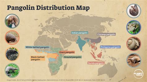 Where Are They Located On The Map