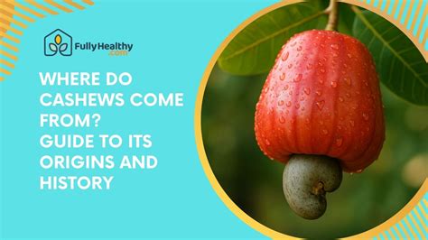 Where Do Cashews Come From