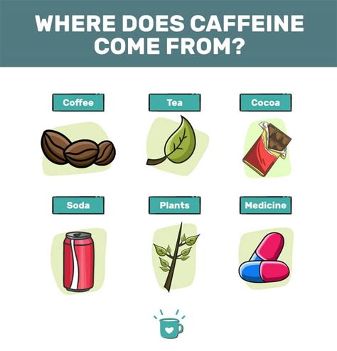 Where Does Caffeine Come From