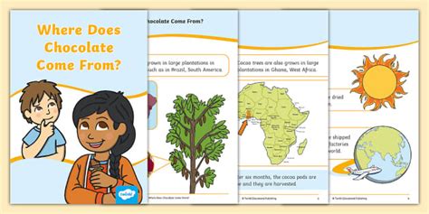Where Does Chocolate Come From And Why