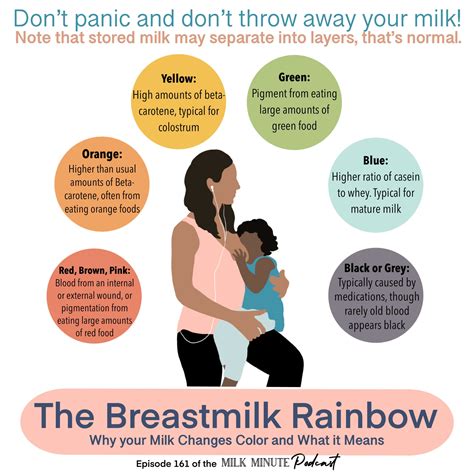 Where Does Milk Come From Breast