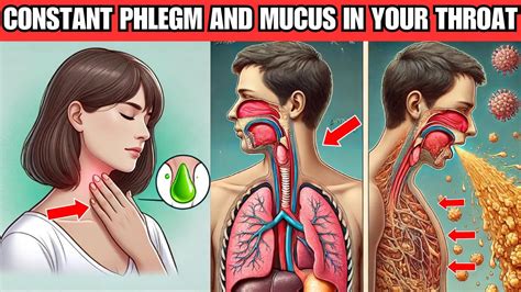 Where Does Mucus Come From In Throat