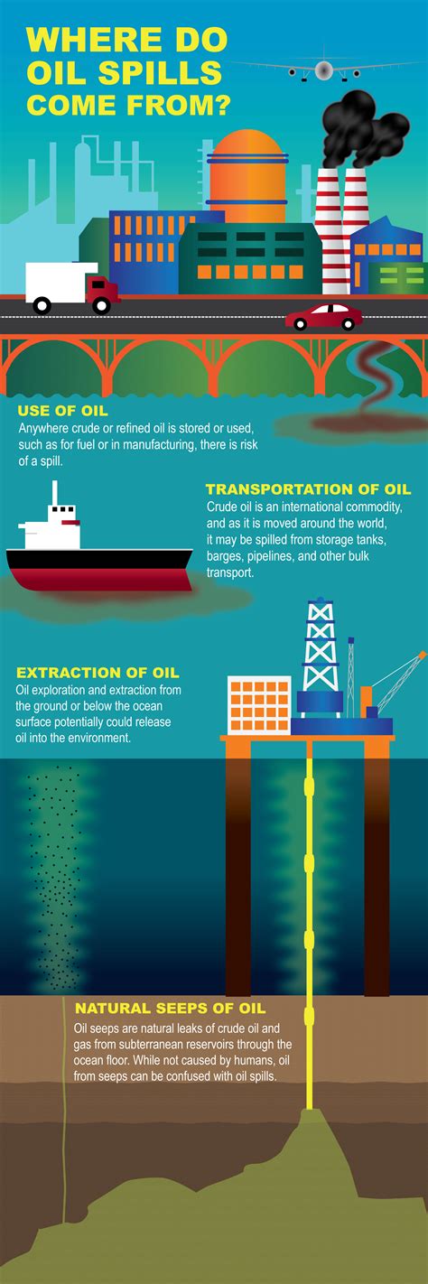 Where Does Oil Come From