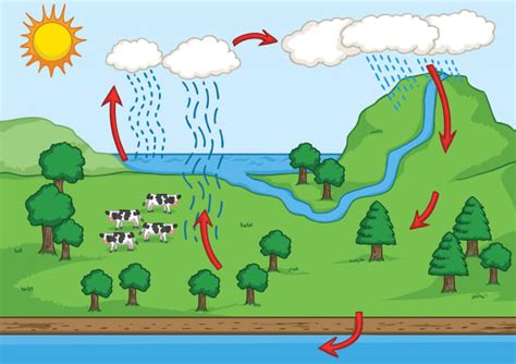 Where Does Water Come From River