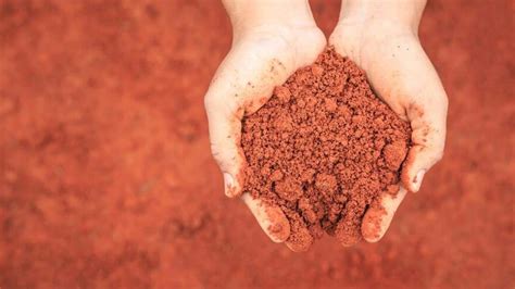Where Is Found Red Soil