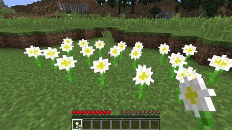 Where To Find Oxeye Daisy Minecraft