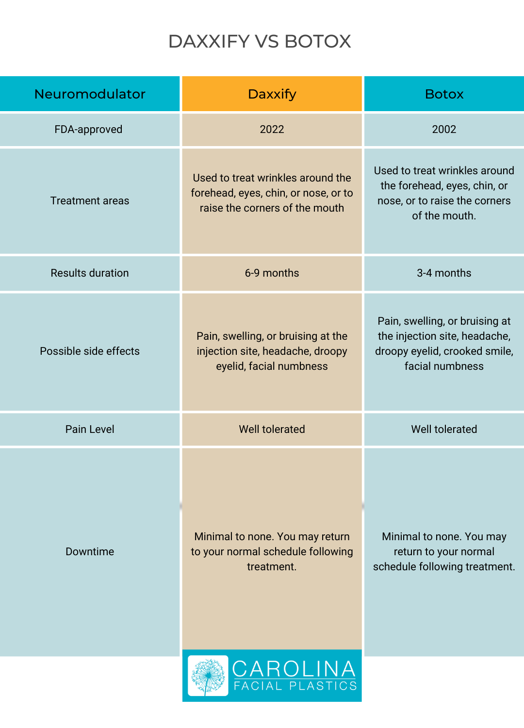 Which Continent Has the Most Countries? Discover the Surprising Answer!